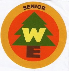 wilderness explorer badge