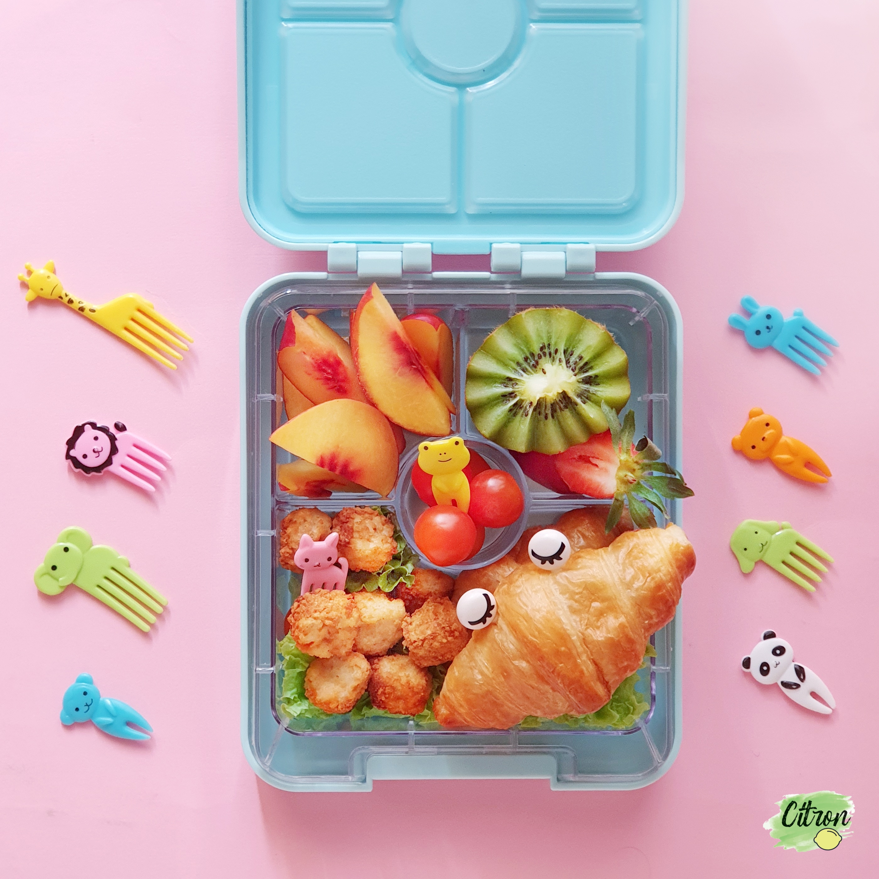 Snack Lunchbox