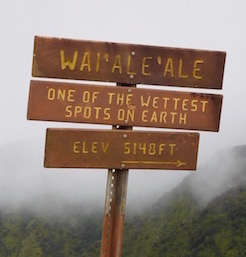 kauai-wettest-spot